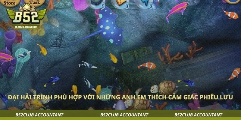 Đại hải trình phù hợp với những anh em thích cảm giác phiêu lưu